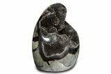 Free-Standing, Polished Septarian Geode - Black Crystals #302881-1